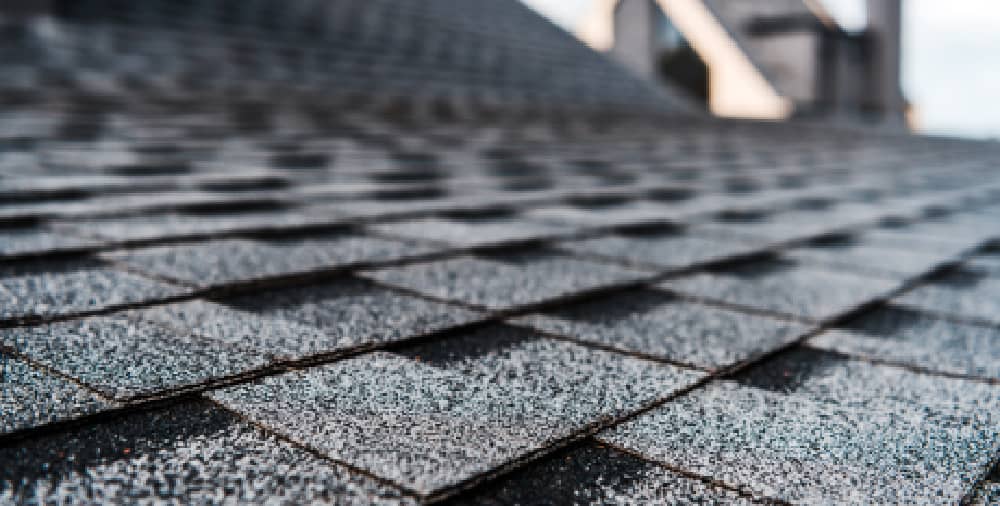 What Is the Best Type of Shingle Roofing for Florida Property Owners?